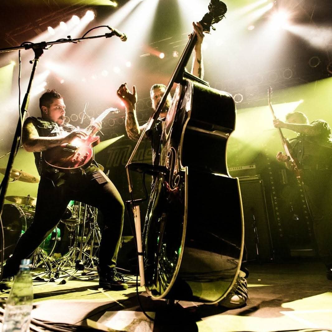 Flesh Roxon fat bass